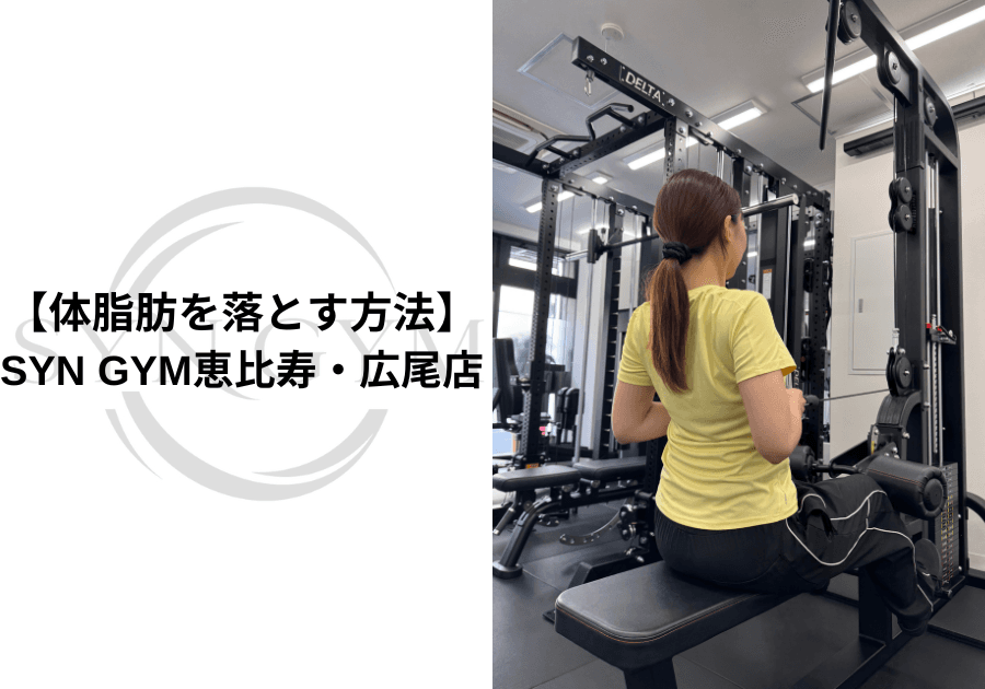 体脂肪を落とす方法|食事・筋トレ・日常生活で無理なく脂肪を減らすポイント|SYN GYM恵比寿・広尾店